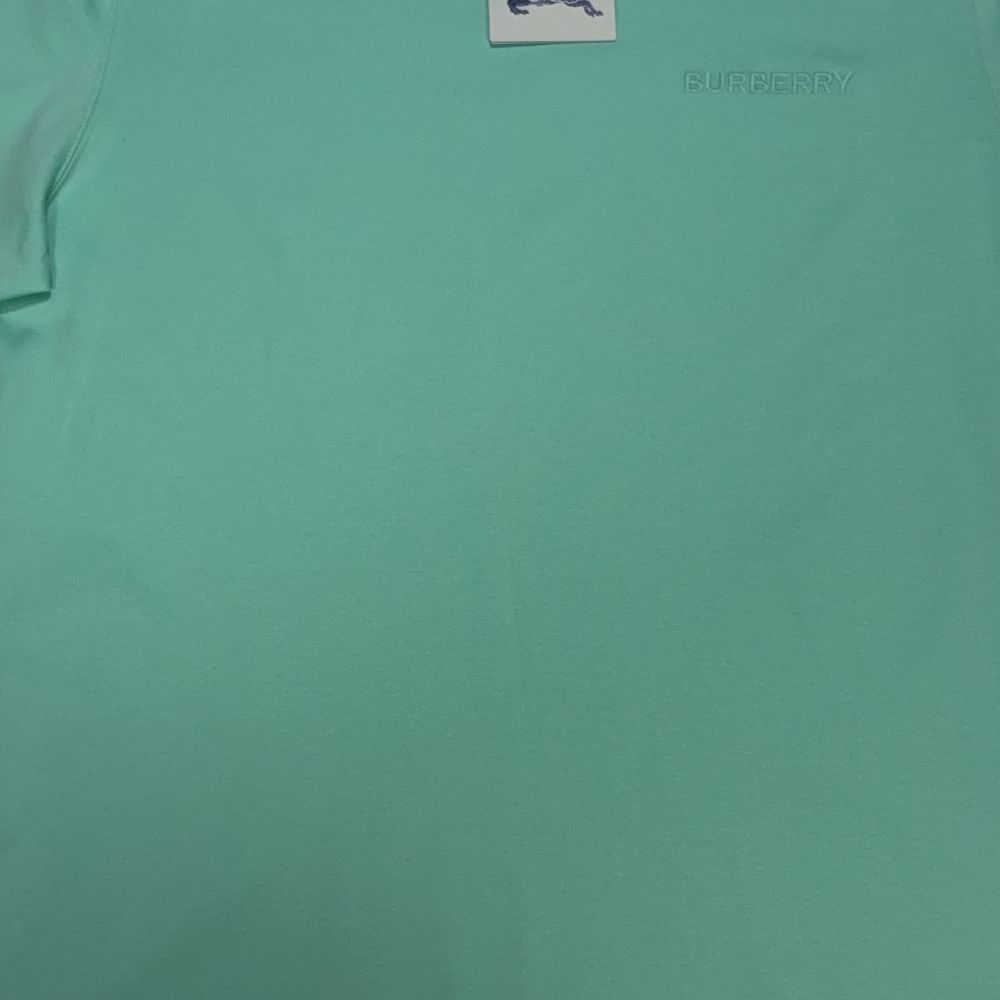 Burberry Embroidered Logo Green T-shirt